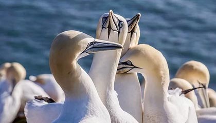 世界杯客户端更新-高层更迭拉开变革大幕 鲁能时代即将画上句号